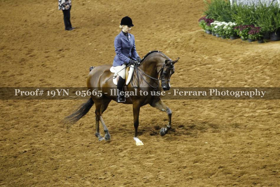 Proof 19YN_05665
