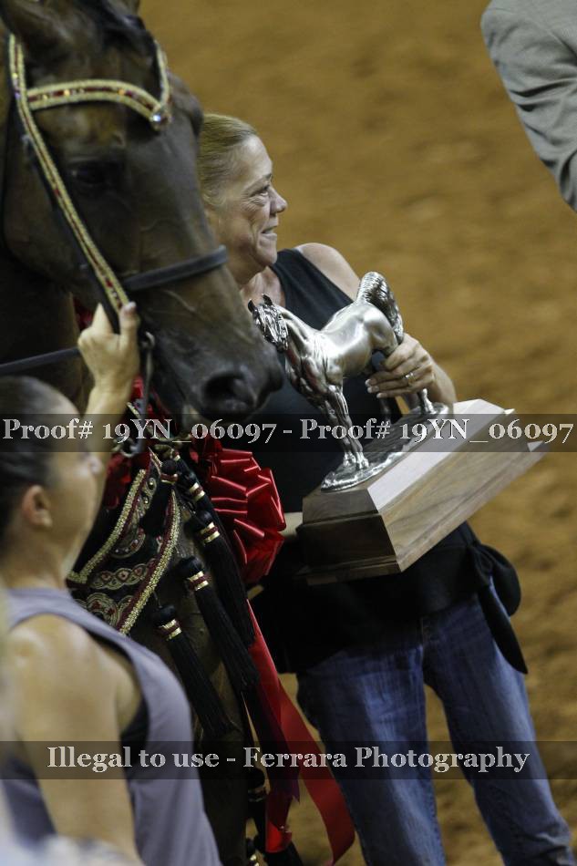 Proof 19YN_06097