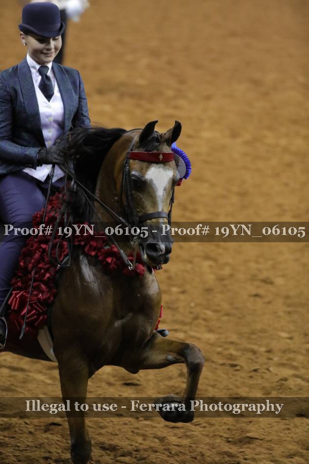 Proof 19YN_06105
