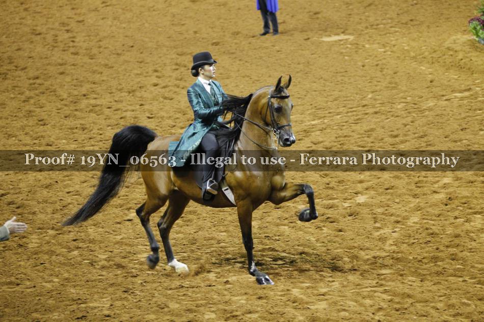 Proof 19YN_06563