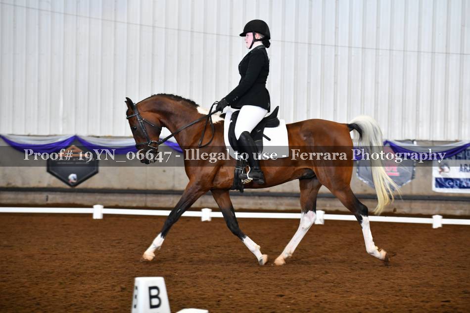 Proof 19YN_06647