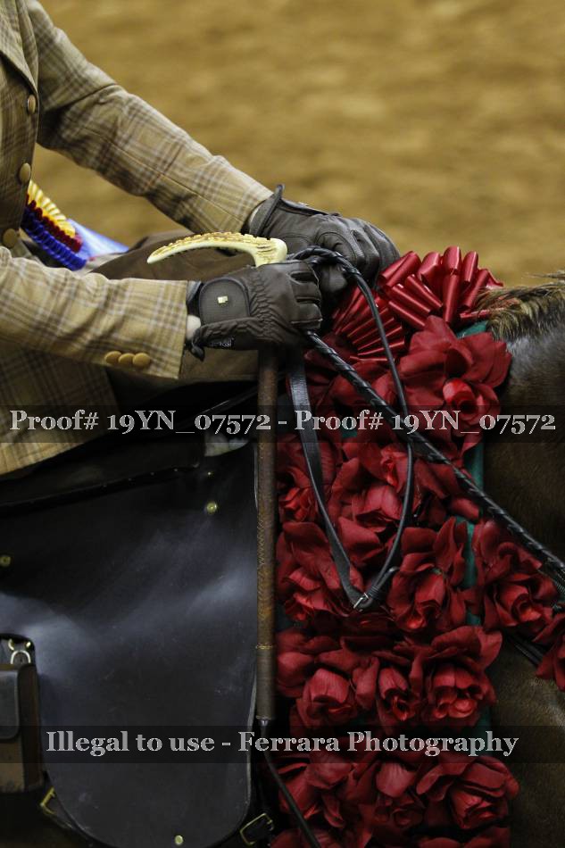 Proof 19YN_07572