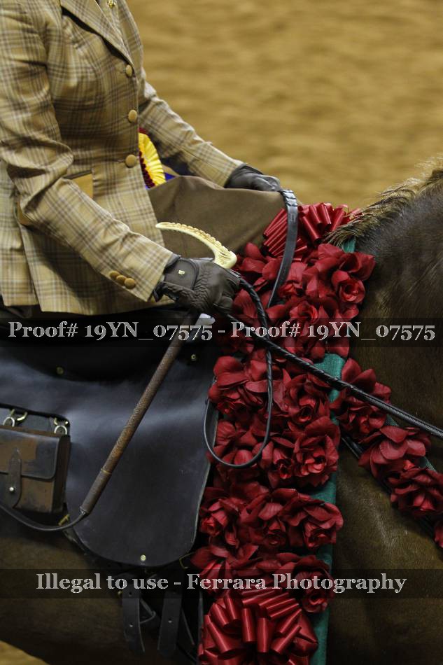 Proof 19YN_07575
