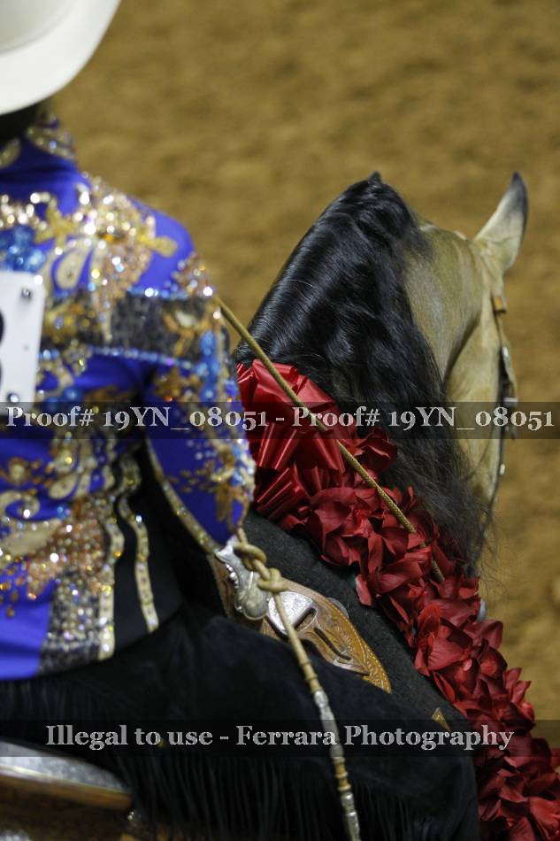 Proof 19YN_08051