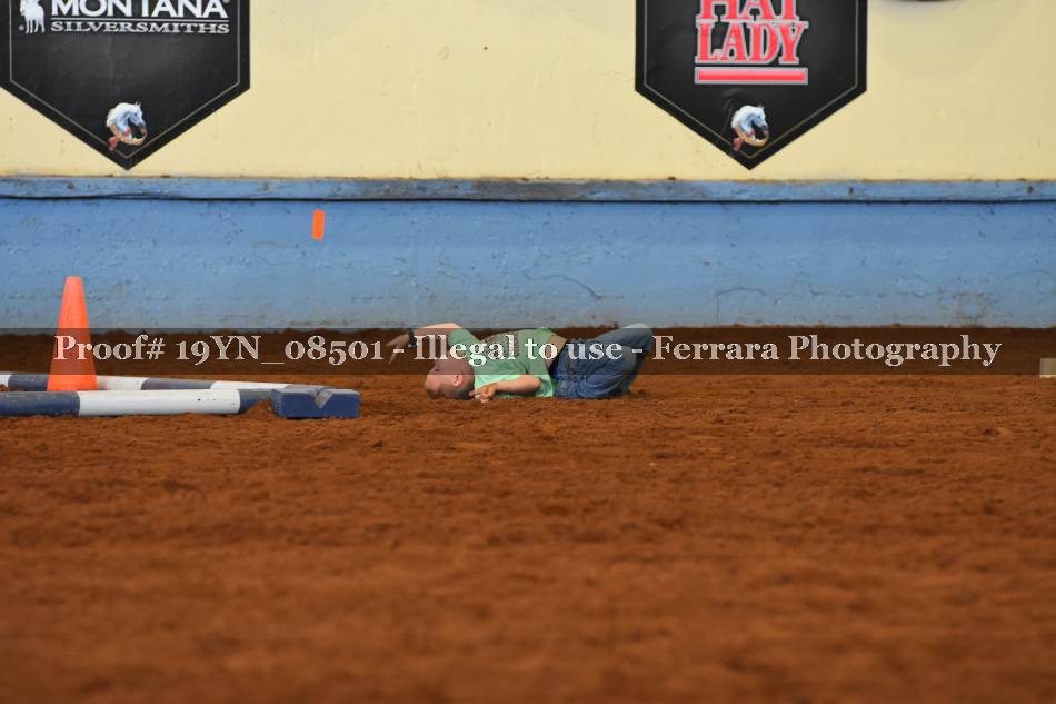 Proof 19YN_08501