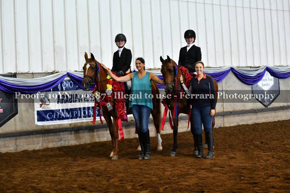 Proof 19YN_09387