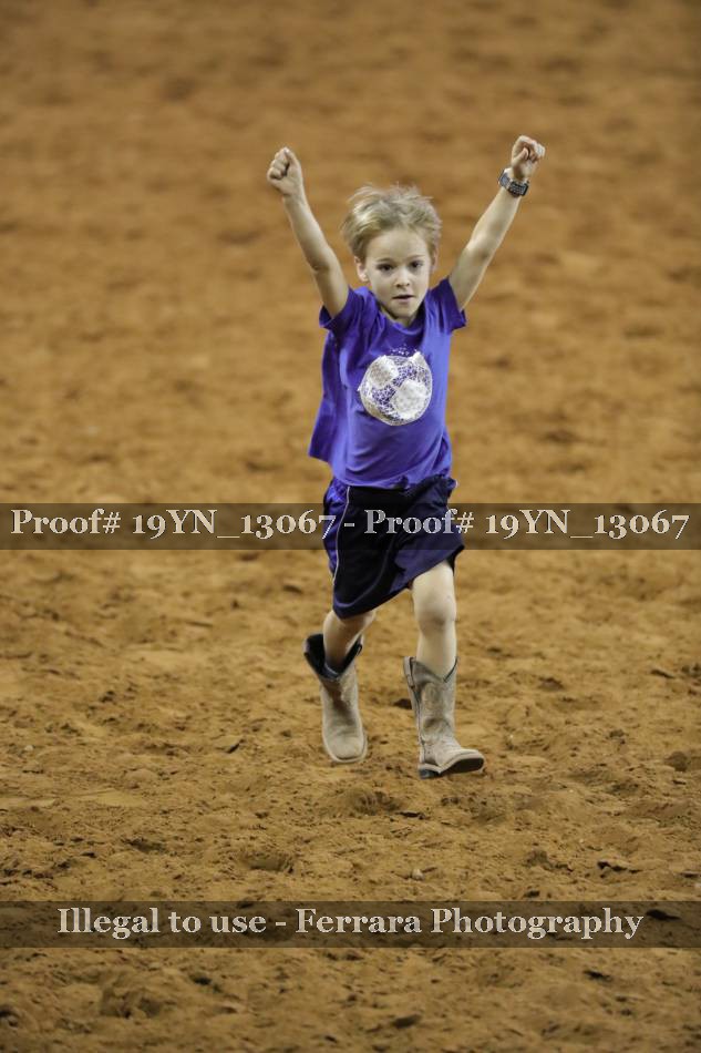 Proof 19YN_13067