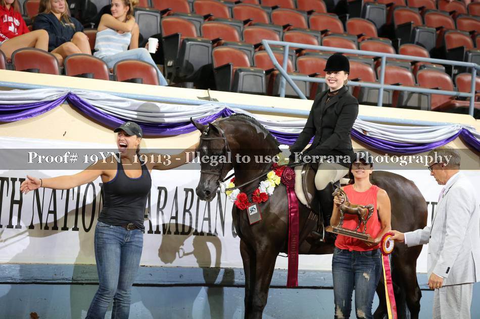 Proof 19YN_19113
