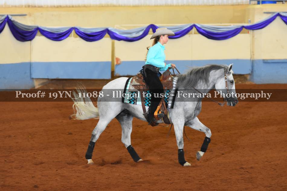Proof 19YN_11088