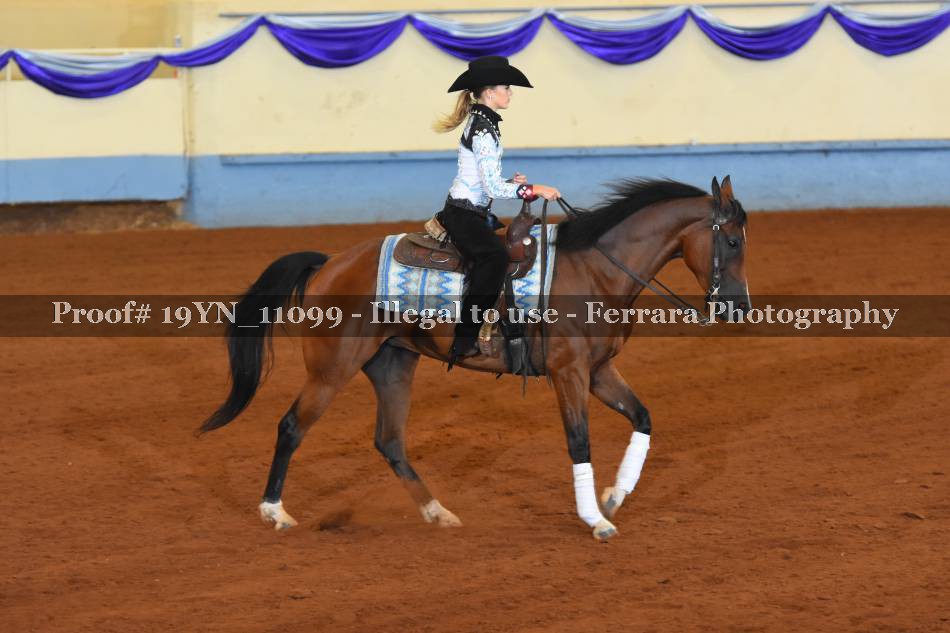 Proof 19YN_11099