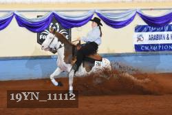 19YN_11112 proof