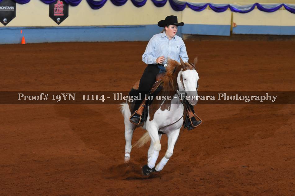 Proof 19YN_11114