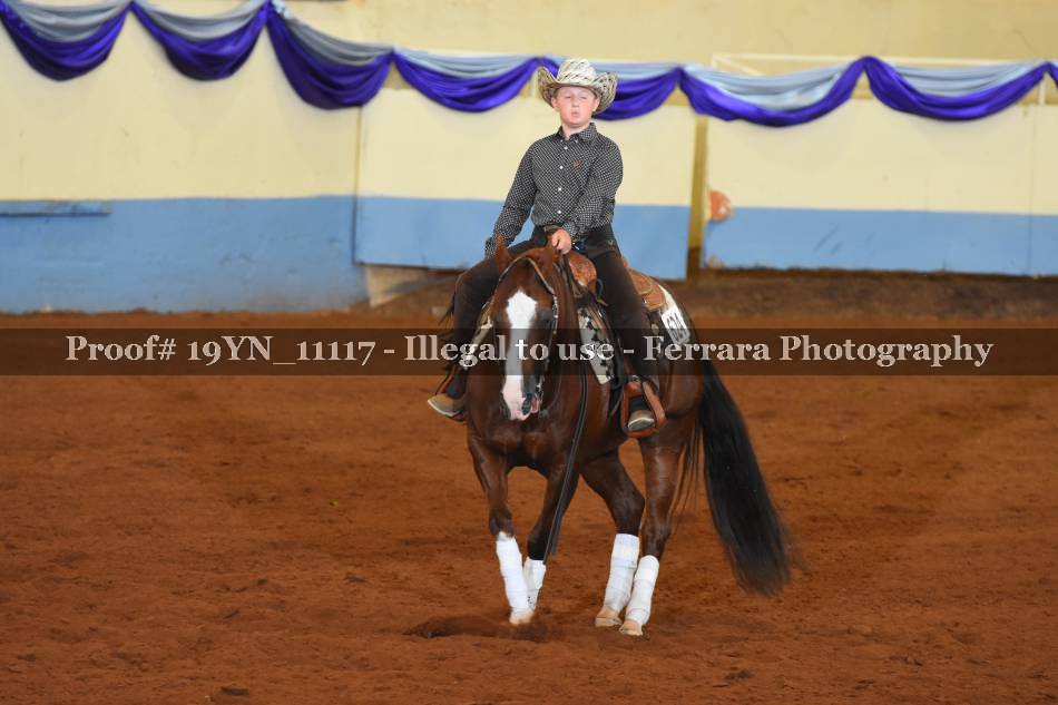 Proof 19YN_11117