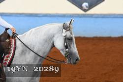 19YN_20289 proof