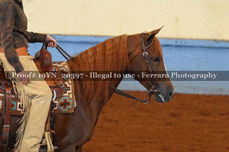 Proof 19YN_20397