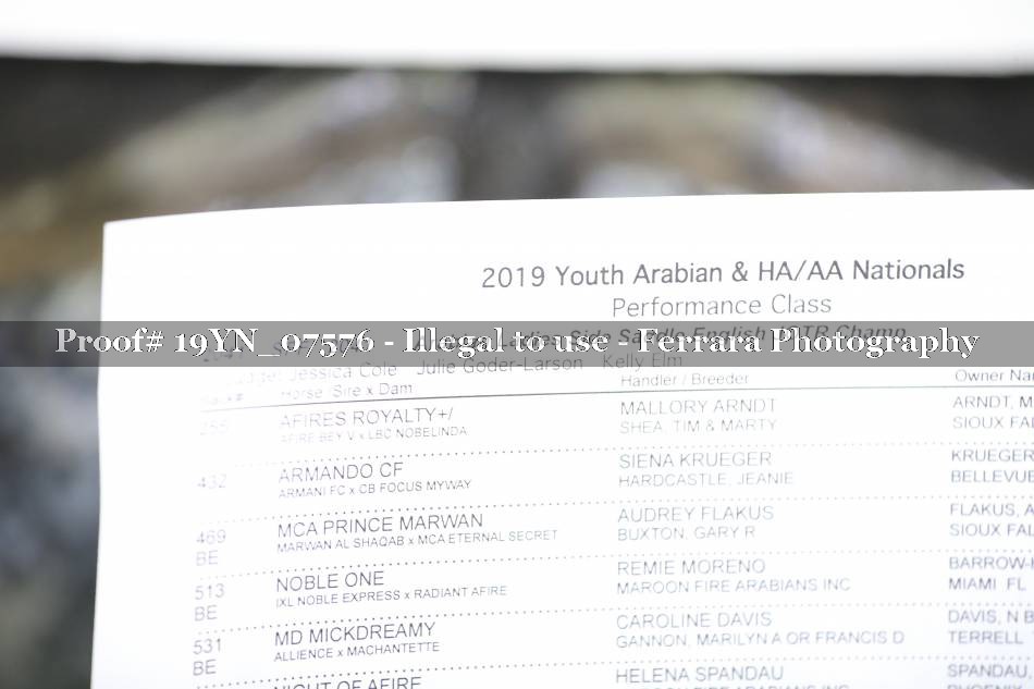 Proof 19YN_07576