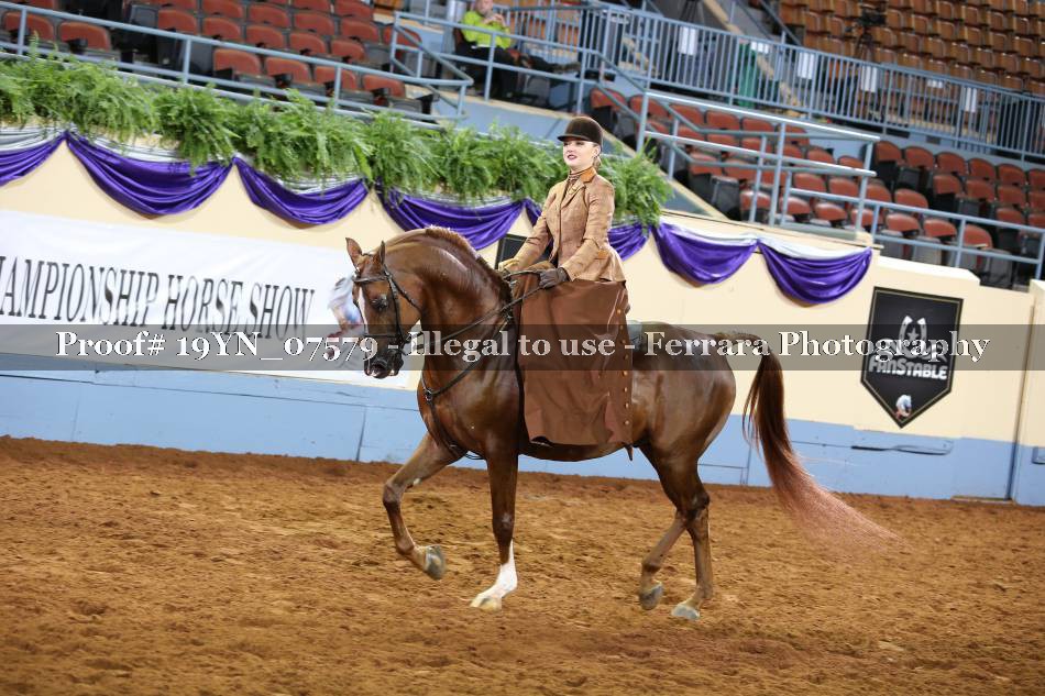 Proof 19YN_07579