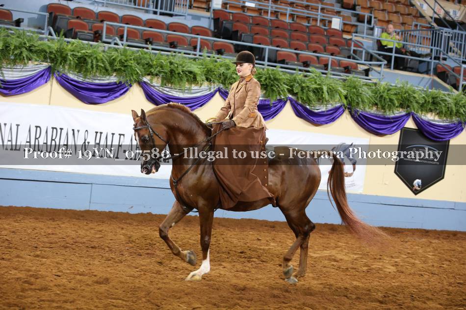 Proof 19YN_07580