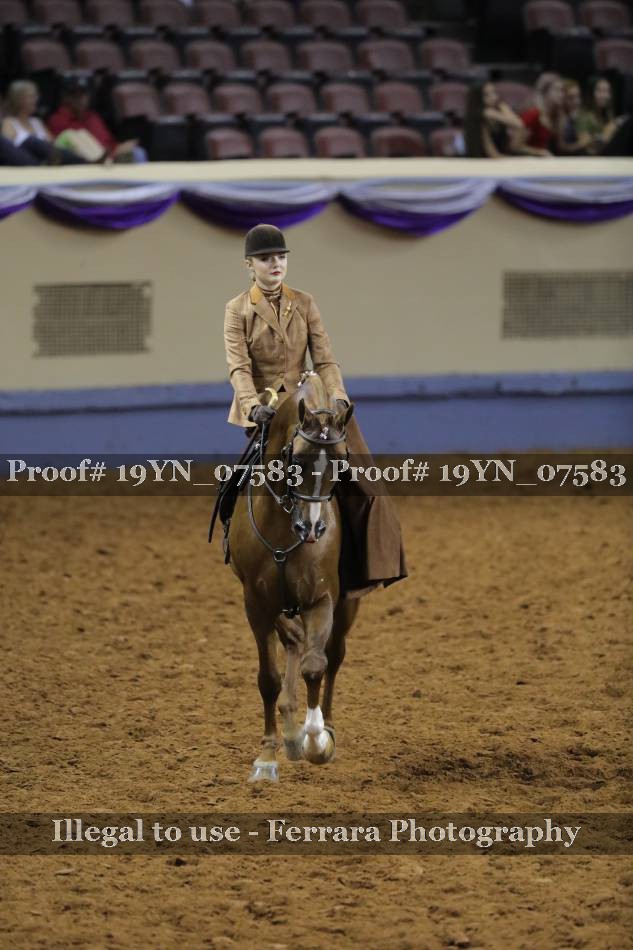 Proof 19YN_07583
