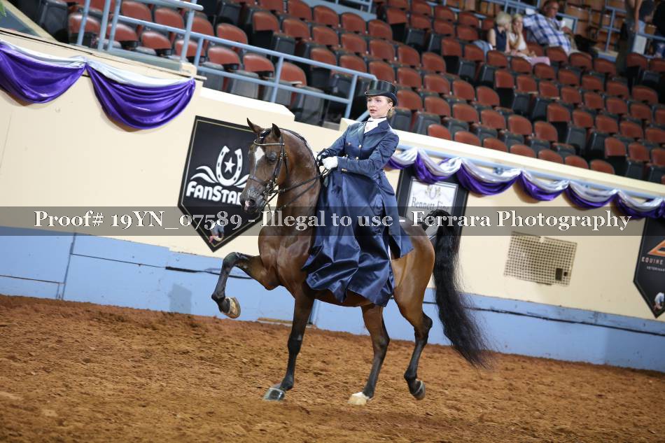 Proof 19YN_07589