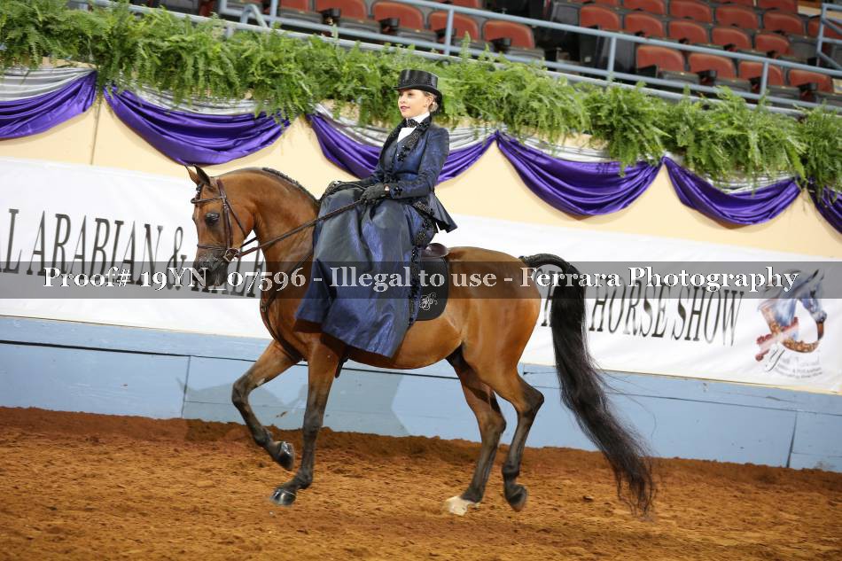 Proof 19YN_07596