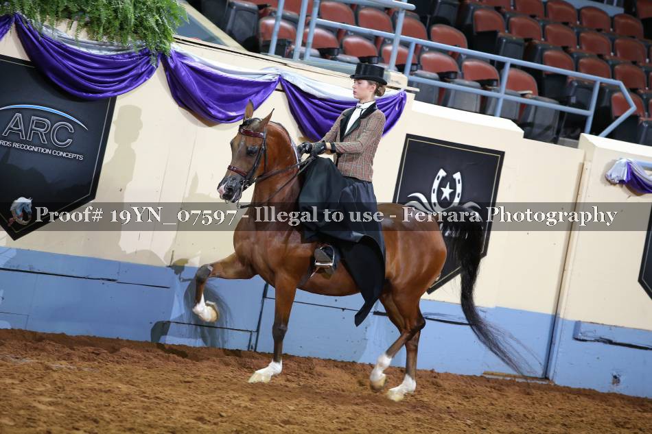 Proof 19YN_07597