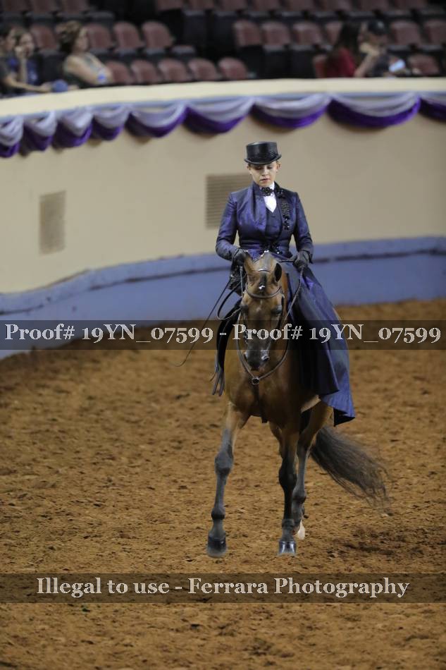 Proof 19YN_07599