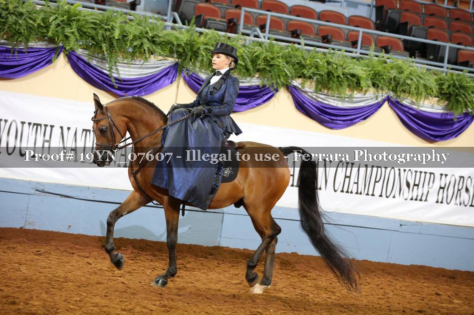 Proof 19YN_07607
