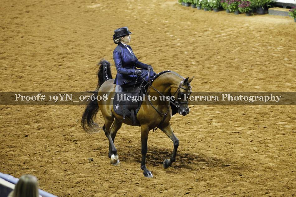 Proof 19YN_07608