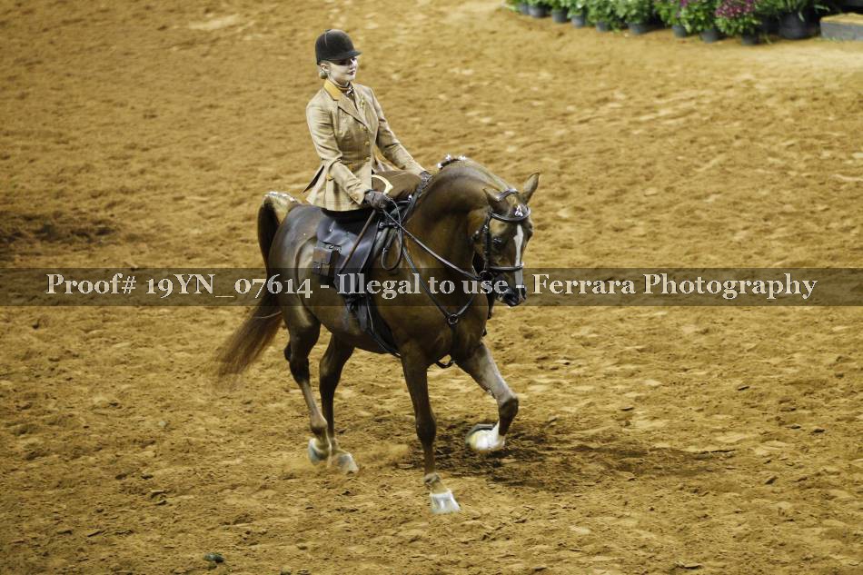 Proof 19YN_07614