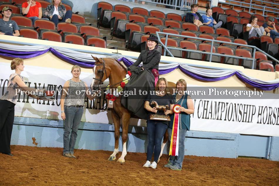 Proof 19YN_07653
