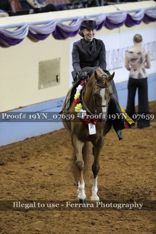 Proof 19YN_07659