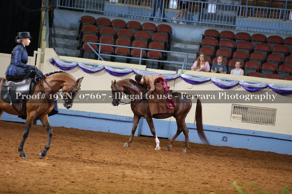 Proof 19YN_07667