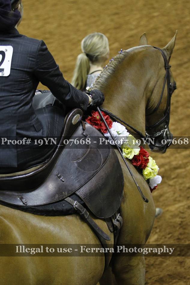 Proof 19YN_07668