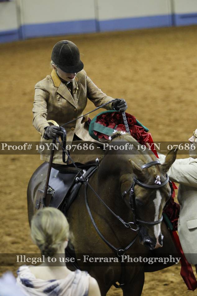 Proof 19YN_07686