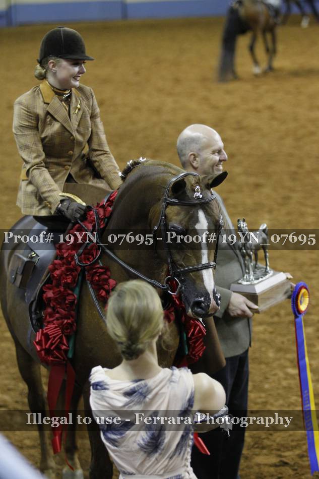 Proof 19YN_07695
