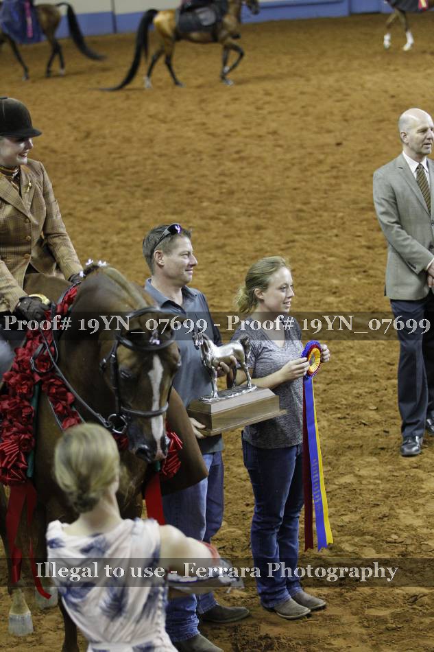 Proof 19YN_07699