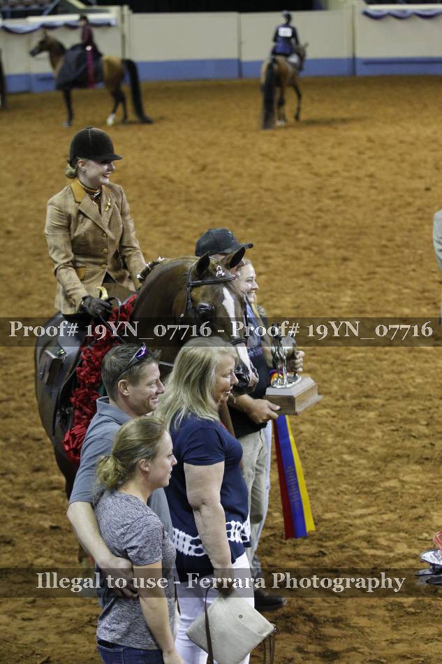Proof 19YN_07716
