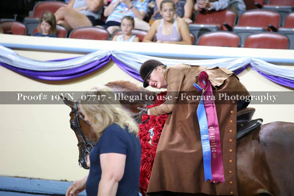 Proof 19YN_07717
