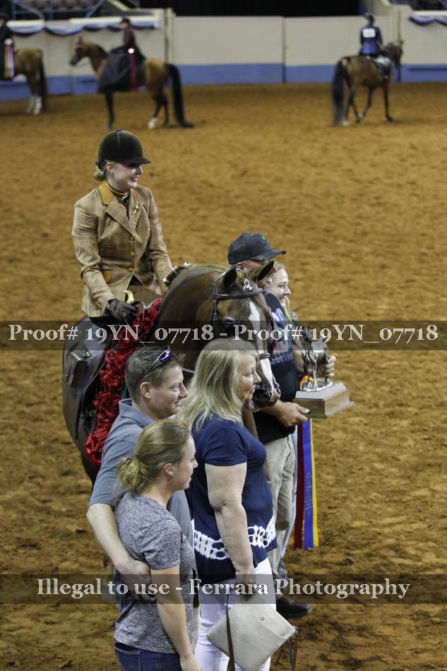 Proof 19YN_07718