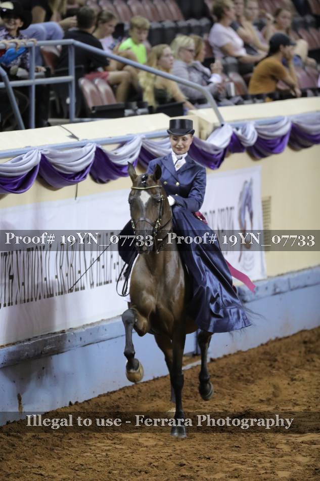 Proof 19YN_07733