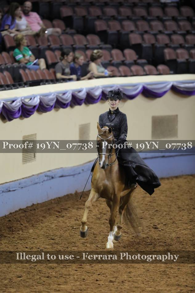 Proof 19YN_07738