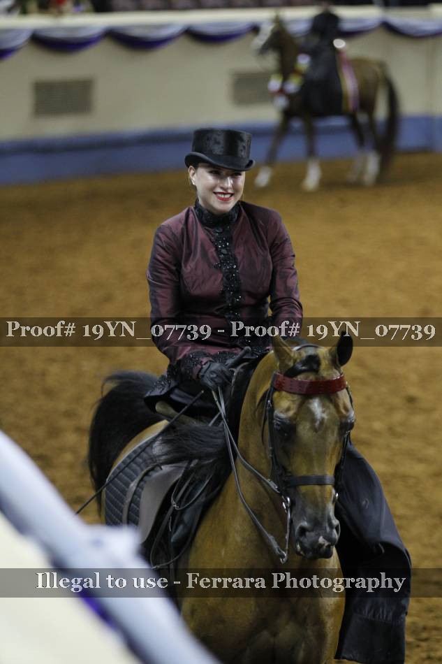 Proof 19YN_07739
