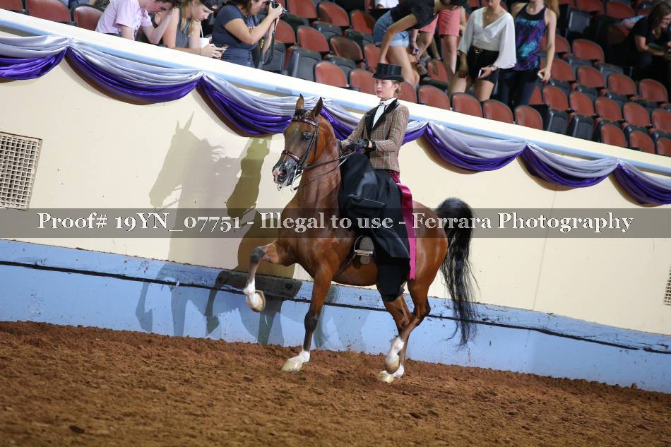 Proof 19YN_07751