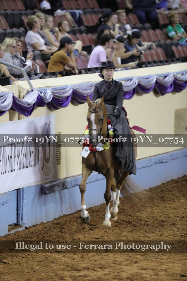 Proof 19YN_07754