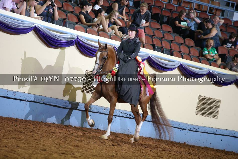 Proof 19YN_07759