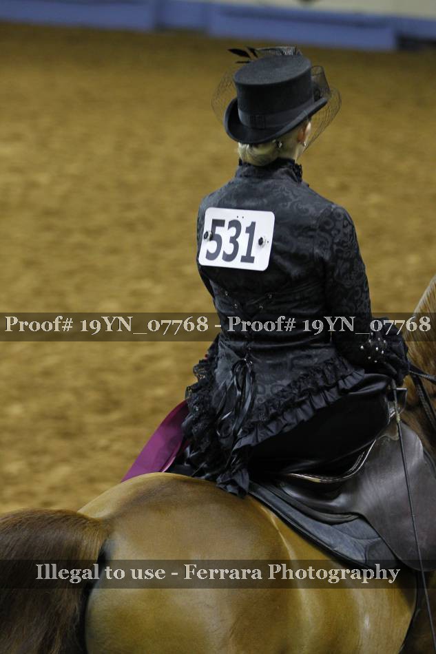 Proof 19YN_07768