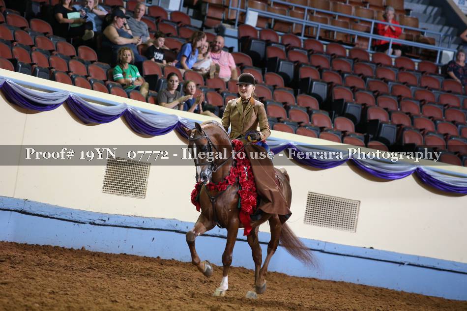 Proof 19YN_07772