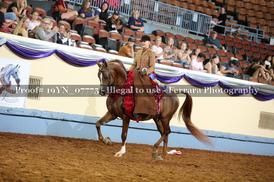 Proof 19YN_07775
