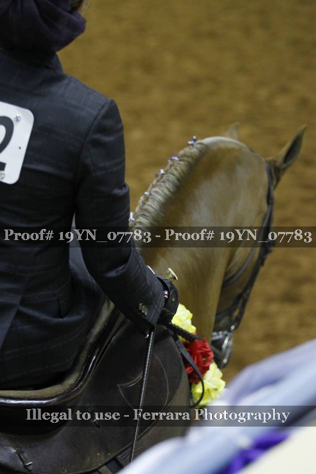 Proof 19YN_07783